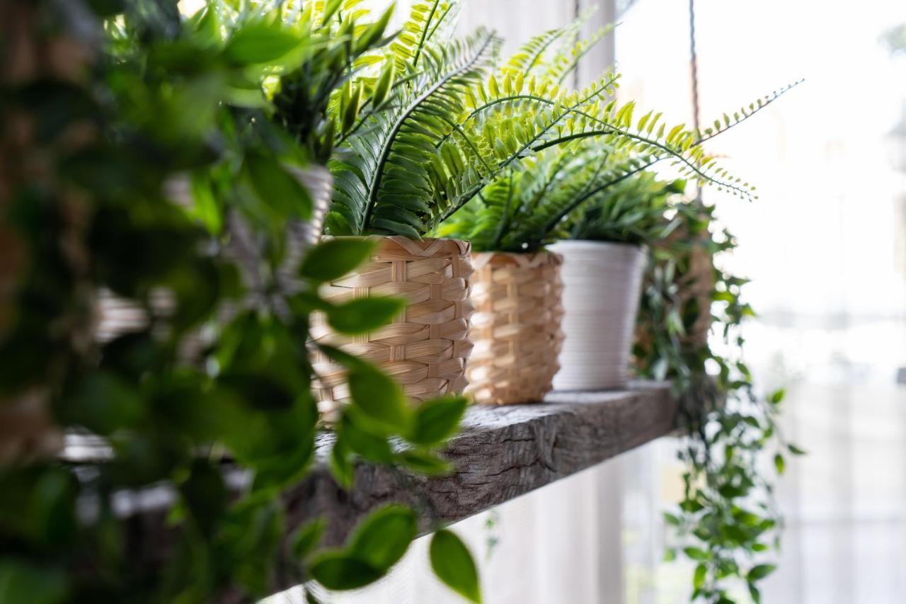 Logement De Drie Stokvisschen ミデルブルグ エクステリア 写真